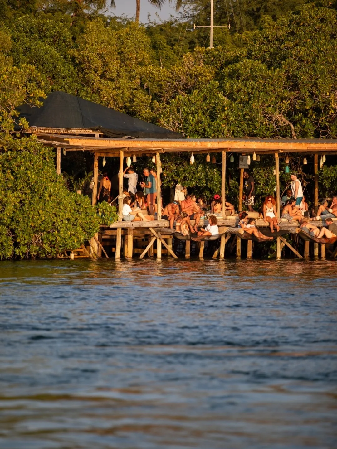 Beach bar over calm water with mangroves at sunset